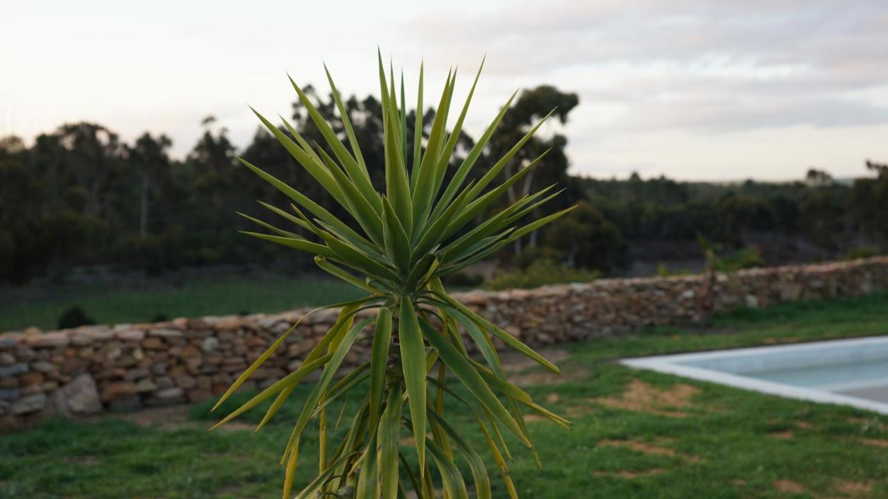 Stellar Overberg Travellers Lodge Napier Exterior foto