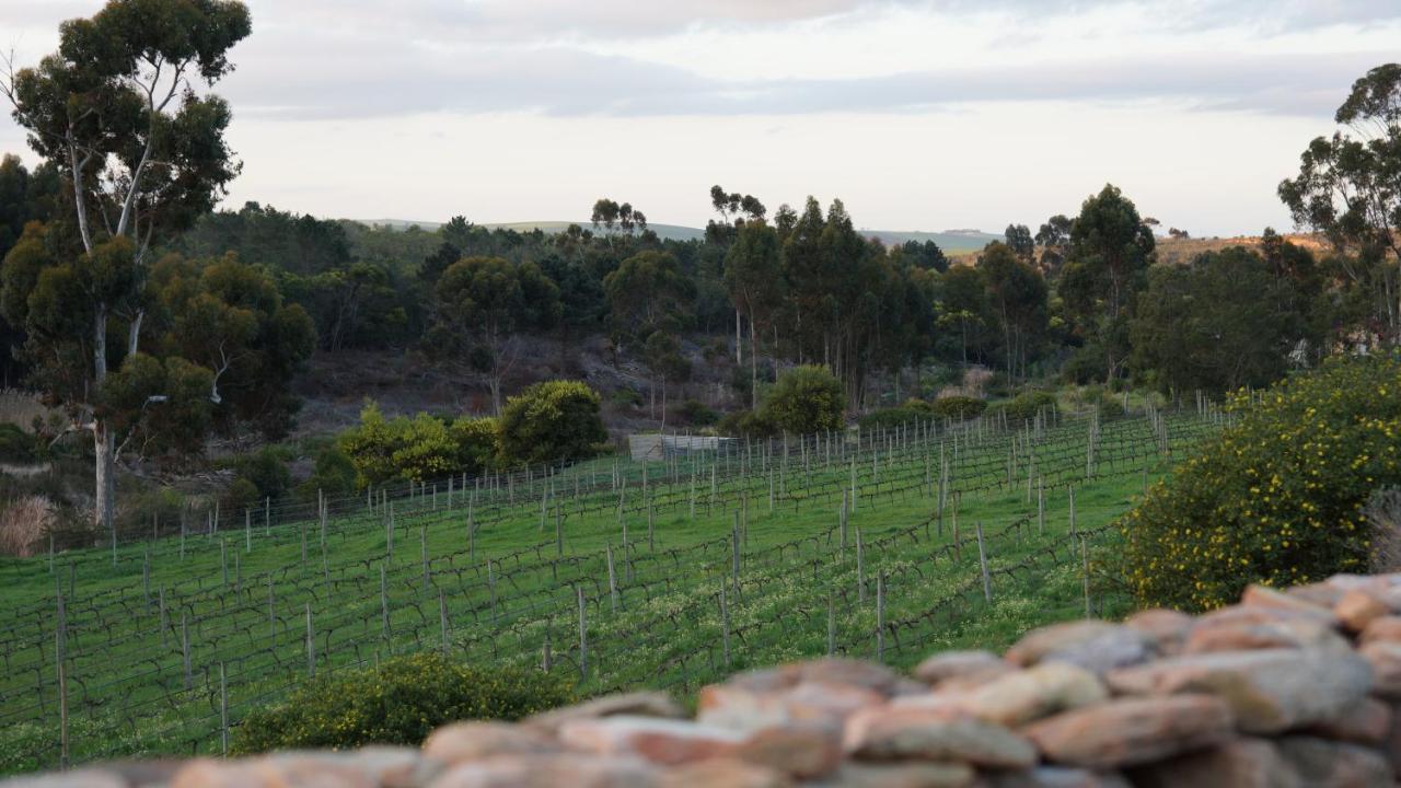 Stellar Overberg Travellers Lodge Napier Exterior foto